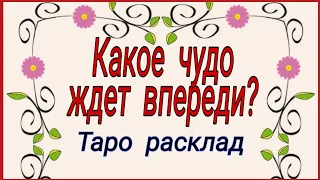 Какое чудо ждет впереди? | Таро Онлайн | Тайна Жрицы |