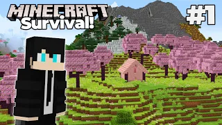 THE BEST START EVER! - Minecraft Survival (Episode 1)