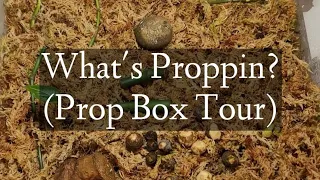 What's Proppin? Propagation Box Tour