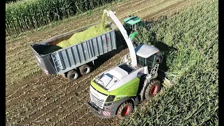 Maishäckseln mit LU Krumm mit Claas Jaguar 970, JCB, Deutz, Teil 7 2022[4K]