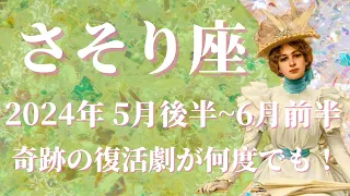 【さそり座】2024年5月後半運勢　奇跡の復活が何度でも✨絶好調、ミラクル展開がやってきます💌自分を信じて進んで、正解はもう心の中にあります🌈✨【蠍座 ５月運勢】【タロット】