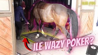 VLOG #104 |  ILE WAŻY POKER?