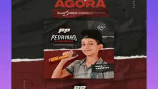 PEDRINHO PISADINHA OUTUBRO 2020