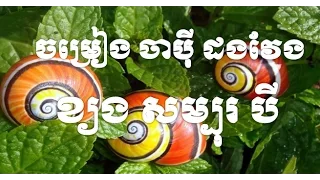 Chapey dong veng ខ្ចង់ សបុរបី |  khmer chapey dong veng | chapey Morm Sorn