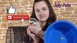 Колесо для ежика!!!  Какое выбрать ??? The best wheel for a hedgehog!