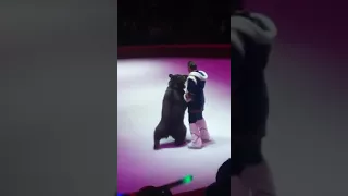 Дрессированные медведи в минском цирке 2018