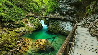 4K SLOVENIA: Vintgar Gorge walking tour near Lake Bled in Slovenia – Nature Ambiance