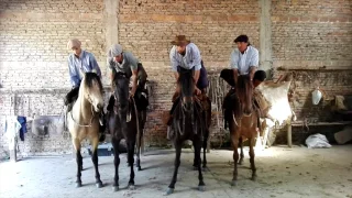 Preparacion de las Yeguas Remate 2016 La Invernada