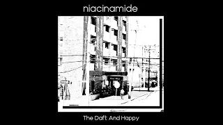 Niacinamide - The Daft And Happy (ArrhythNia aNr127) #noise #experimental #musique #ambient #music