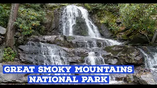 Top 10 Sights at Great Smoky Mountains National Park | Plus tips for visiting | Know before you go!