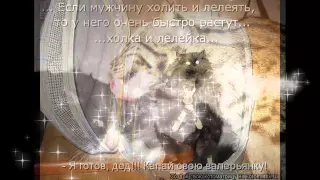 Веселая котомафия #1 Смешные животные