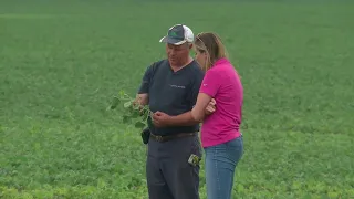 Minnesota Farmers Relieved Over Weekend Rain, But Aren’t Celebrating Yet