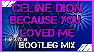 Celine Dion - Because You Loved Me - Lee Keenan x Irwiin Bootleg visualization