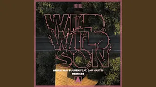 Wild Wild Son (Richard Durand Extended Remix)