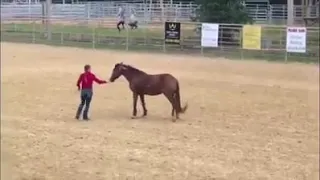 2018 Liberty Performance with Bella the BLM Mustang