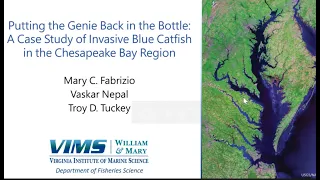 Fabrizio- A case study of invasive Blue Catfish in the Chesapeake Bay Region