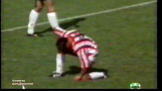 Calcio: Vicenza  - Fiorentina 1 - 0    (10/09/1995)