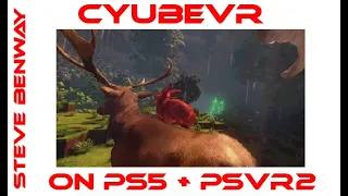 cyubeVR on PS5 + PSVR2