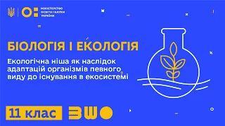 11 клас. Біологія і екологія. Екологічна ніша. Поняття про спряжену еволюцію та коадаптацію