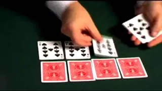 Wild Card Magic Trick and DVD by Magic Makers