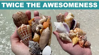 Shell Hunt Collaboration. Two YouTubers - One Awesome Island.