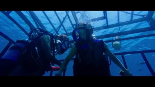 47 METERS DOWN Movie Clip   Rusty Cage 2017 Mandy Moore Shark Thriller Movie HD