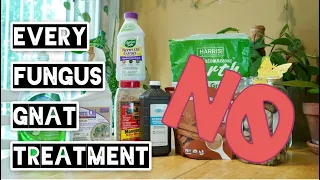 I'VE TRIED EVERY FUNGUS GNAT TREATMENT | Here are the Results