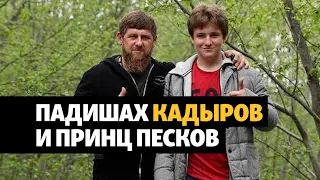 Стройка Кадырова в Сербии и смертность в Чечне | ПОДКАСТ (№37)