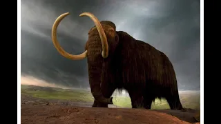 Woolly Mammoth Sound Effects
