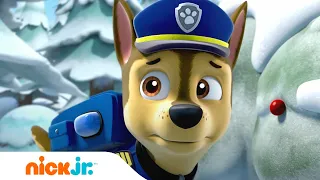 PAW Patrol | ¡Aventuras de monstruos y extraterrestres! | Nick Jr. en Español