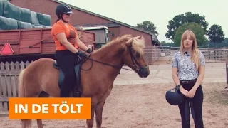 In de tölt | PaardenpraatTV