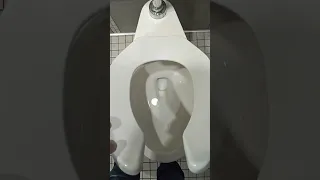 Zurn Flushometer Toilet