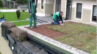 ArchiGreen® Ltd - Building an extensive green roof in a couple of hours