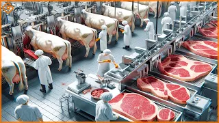 Workers Process 10 Million Cows At The Factory - Modern Food Technology Processing Machines