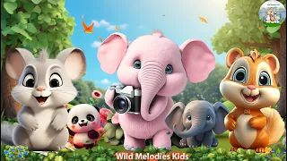 Happy Animal Moments: Elephant, Mouse, Squirel, Panda - Animal Videos