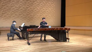 Kevin Puts, Marimba Concerto