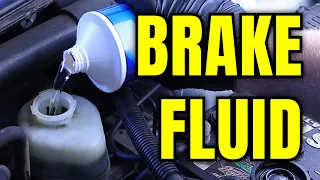 Brake Fluids Explained: Types, Compatibility, & Lifespan!