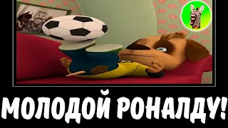 🐶 МУД БАРБОСКИНЫ ДЕМОТИВАТОР 163 БЕЗ МАТА | МОЛОДОЙ РОНАЛДУ!