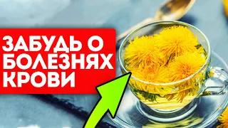 Ем и оживаю! Вот что происходит со мной после употребления одуванчика (3-й и 6-й рецепты)