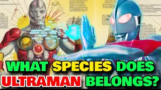 Ultraman Anatomy Explored - Does He Have Bones And Internal Organs? What's His Species?