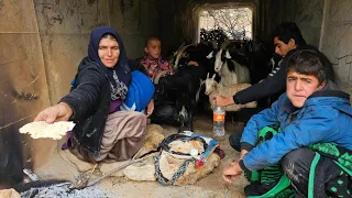 Akram and her sons keep the goats warm under the bridge