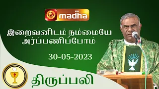 🔴 LIVE  30 MAY 2023 Holy Mass in Tamil 06:00 PM (Evening Mass) | Madha TV