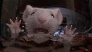 Stuart Little Dies!!!!!!!!! (1 year anniversary)