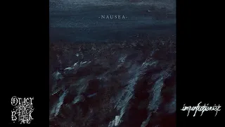 Imperfectionist - Nausea (full album, 2019)