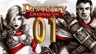 Divinity: Original Sin 01 "Заезд в новый, неизведанный мир"