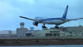 ANA 全日空 B777-300 東京/羽田ー沖縄 NH469  那覇空港 着陸/ All Nippon Airways Boeing B777-300 landing at Okinawa/NAHA