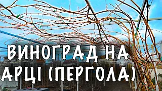 Виноград на УКРИВНІЙ та НЕУКРИВНІЙ ПЕРГОЛІ. Як обрізати виноград на арку. Укривний виноград на арці