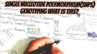 SNPs genotyping(Single Nucleotide Polymorphism) @muhammadumerfarooqbiology7083