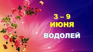 ♒ ВОДОЛЕЙ. 🌹 С 3 по 9 ИЮНЯ 2024 г. 🦋 Таро-прогноз ✨️