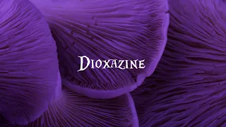 DIOXAZINE | A Righteous Robot Short Short